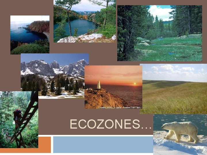 ECOZONES…. 