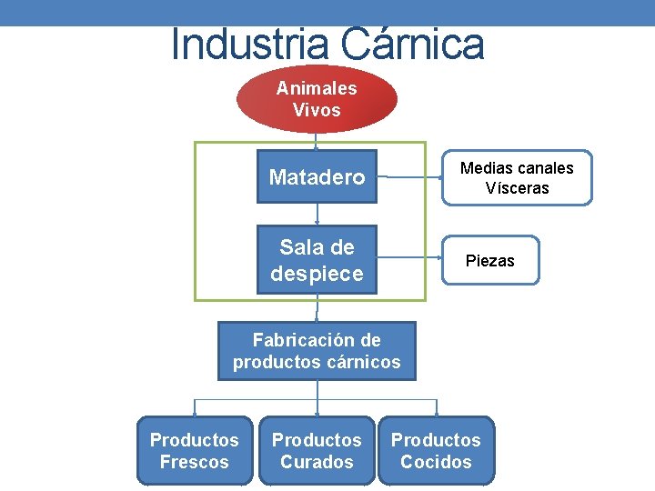 Industria Cárnica Animales Vivos Medias canales Vísceras Matadero Sala de despiece Piezas Fabricación de Industria Cárnica Animales Vivos Medias canales Vísceras Matadero Sala de despiece Piezas Fabricación de