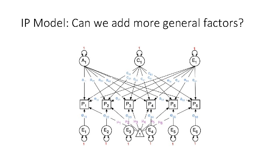 IP Model: Can we add more general factors? 