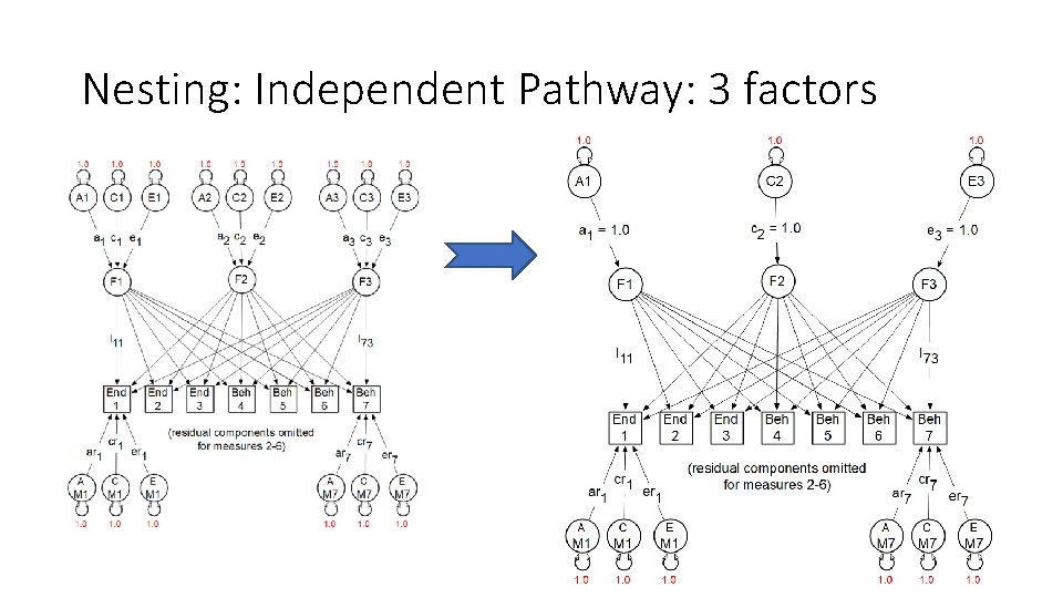Nesting: Independent Pathway: 3 factors 
