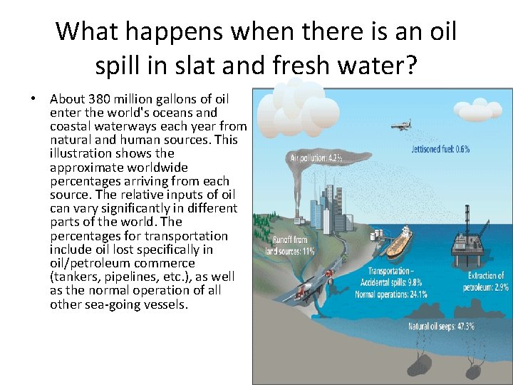 What happens when there is an oil spill in slat and fresh water? •
