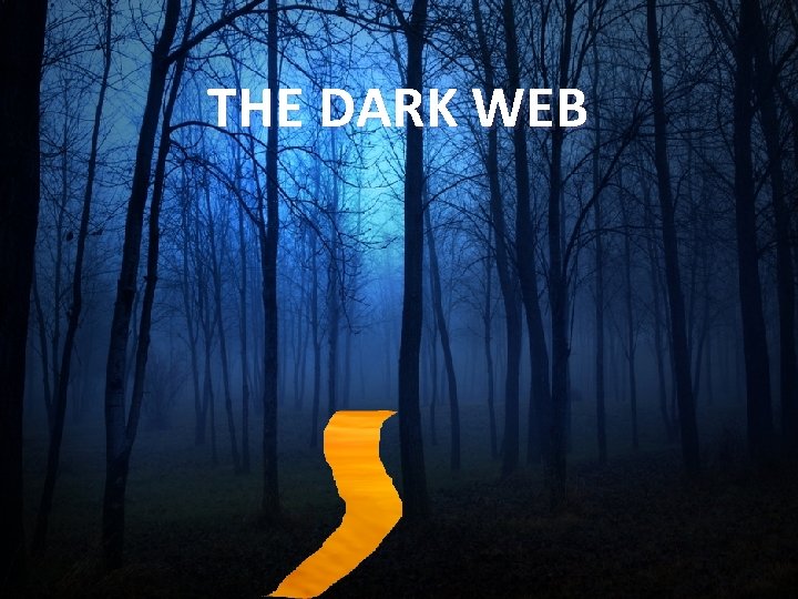 THE DARK WEB 