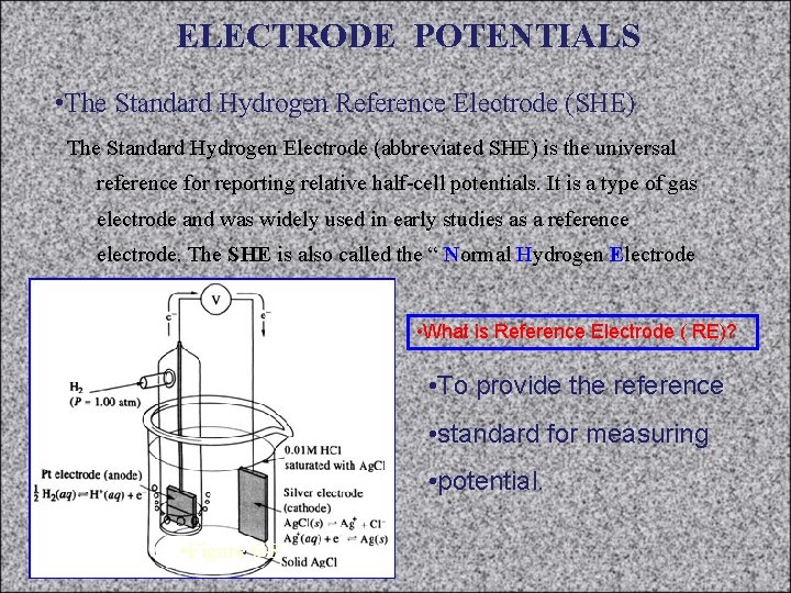 ELECTRODE POTENTIALS • The Standard Hydrogen Reference Electrode (SHE) The Standard Hydrogen Electrode (abbreviated