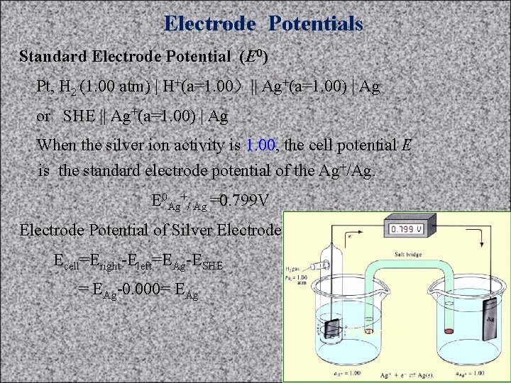 Electrode Potentials Standard Electrode Potential (E 0) Pt, H 2 (1. 00 atm) |