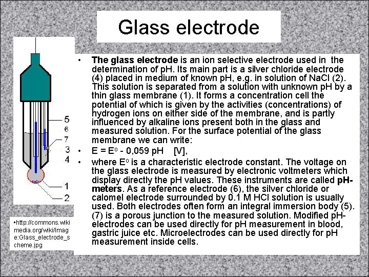 Glass electrode • • http: //commons. wiki media. org/wiki/Imag e: Glass_electrode_s cheme. jpg The