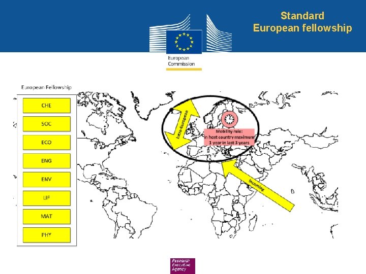 Standard European fellowship 