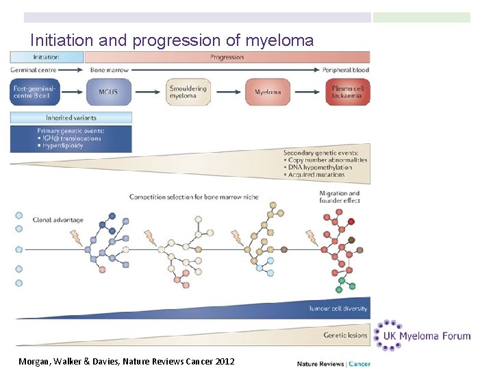Initiation and progression of myeloma Morgan, Walker & Davies, Nature Reviews Cancer 2012 