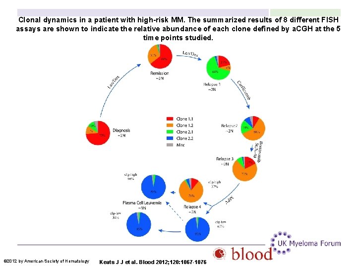 Clonal dynamics in a patient with high-risk MM. The summarized results of 8 different