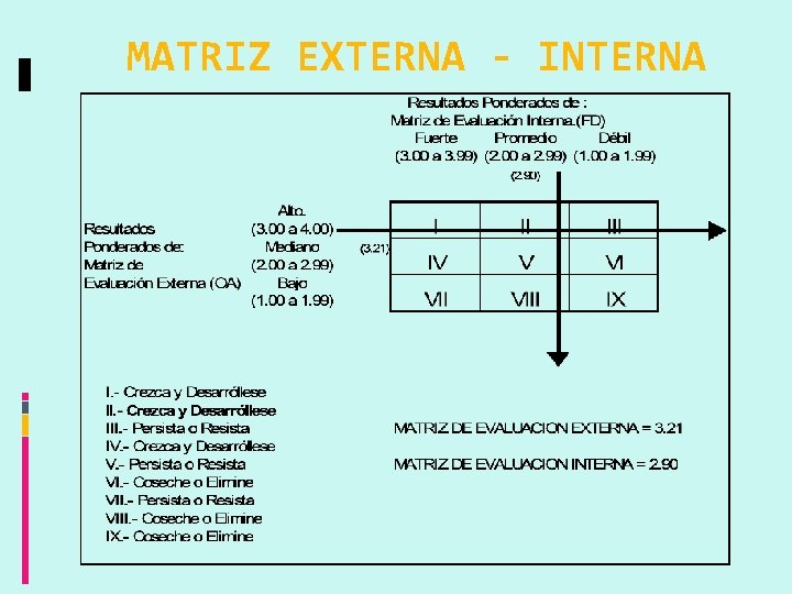 MATRIZ EXTERNA - INTERNA 