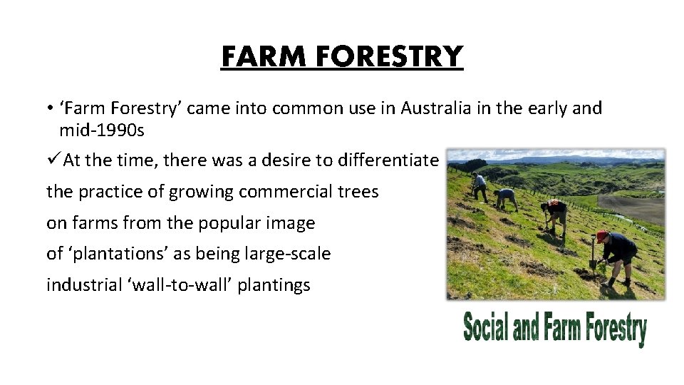 FARM FORESTRY • ‘Farm Forestry’ came into common use in Australia in the early