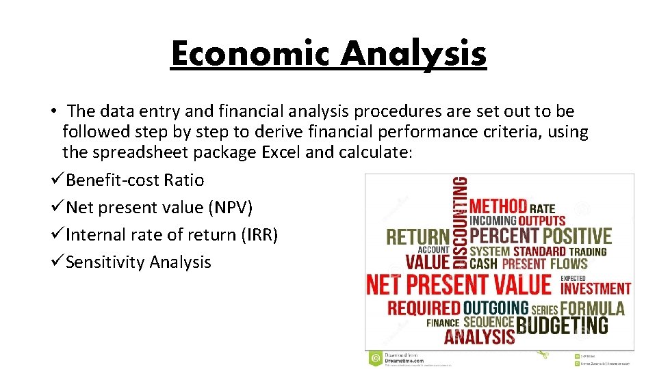 Economic Analysis • The data entry and financial analysis procedures are set out to