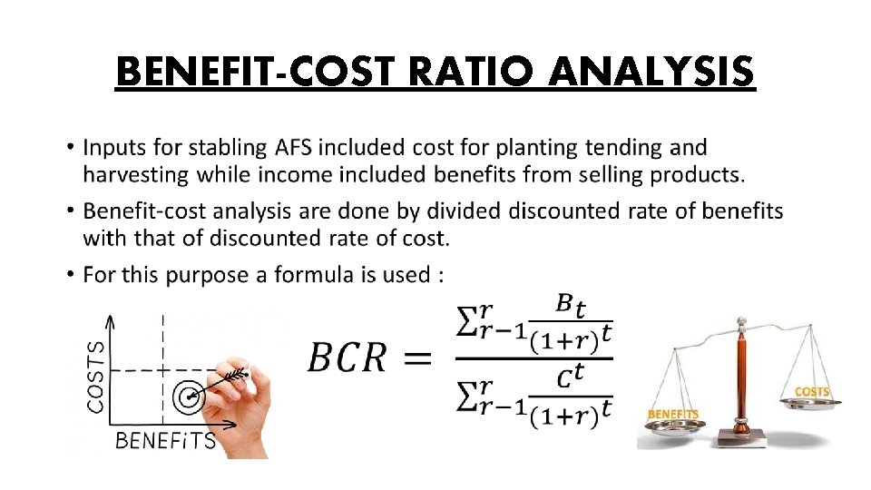 BENEFIT-COST RATIO ANALYSIS • 