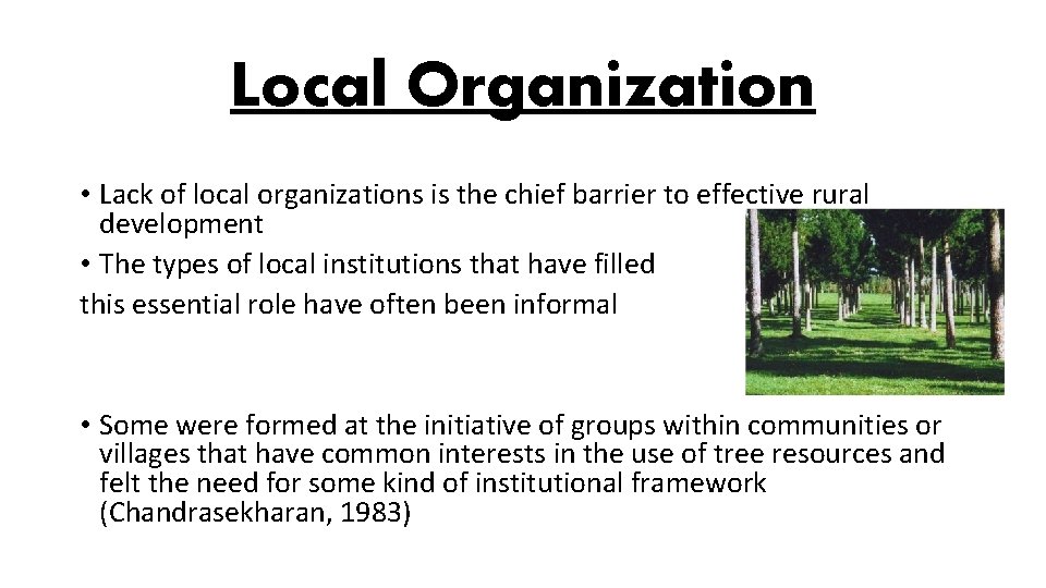 Local Organization • Lack of local organizations is the chief barrier to effective rural