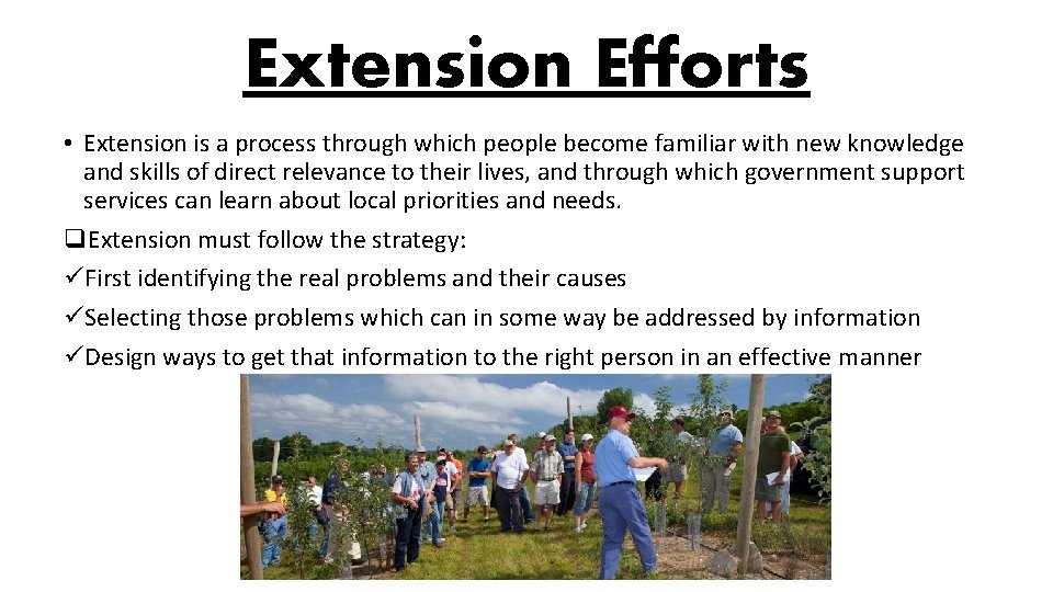 Extension Efforts • Extension is a process through which people become familiar with new