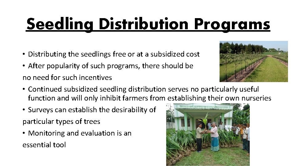 Seedling Distribution Programs • Distributing the seedlings free or at a subsidized cost •