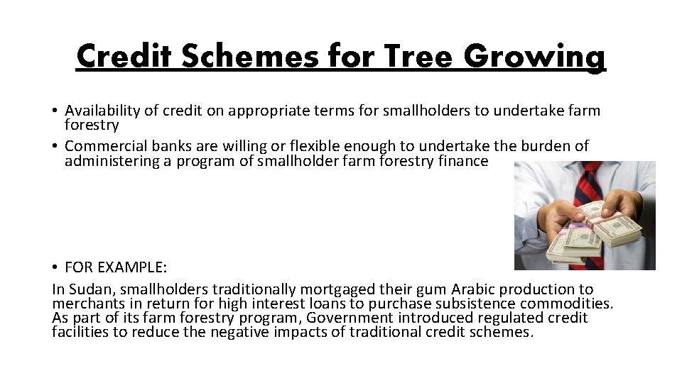 Credit Schemes for Tree Growing • Availability of credit on appropriate terms for smallholders