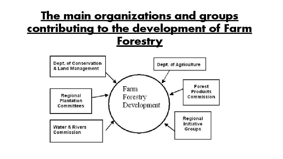 The main organizations and groups contributing to the development of Farm Forestry 