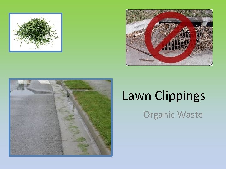 Lawn Clippings Organic Waste 