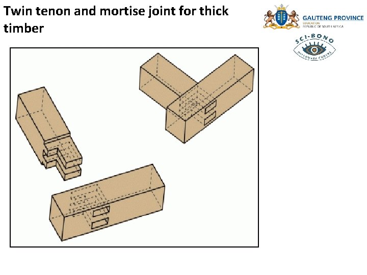 Twin tenon and mortise joint for thick timber 