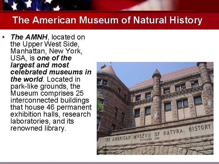 The American Museum of Natural History • The AMNH, located on the Upper West