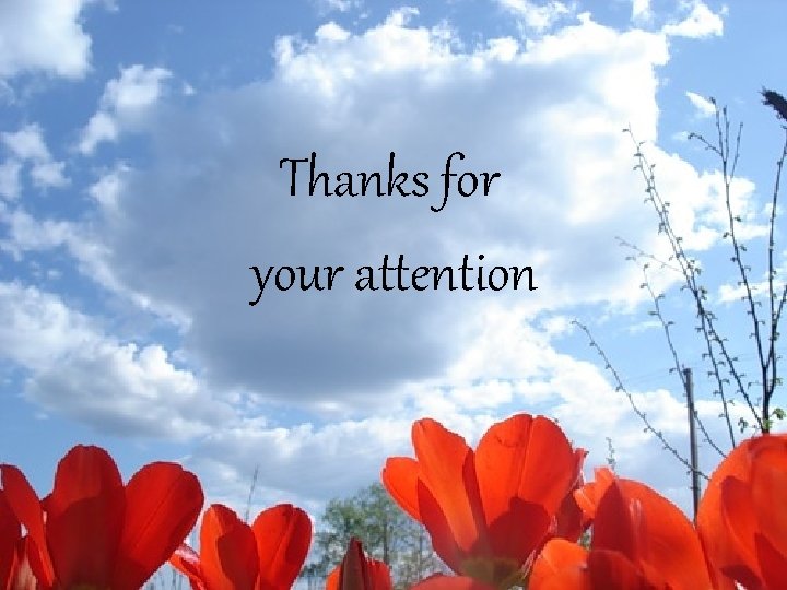 Thanks for your attention 