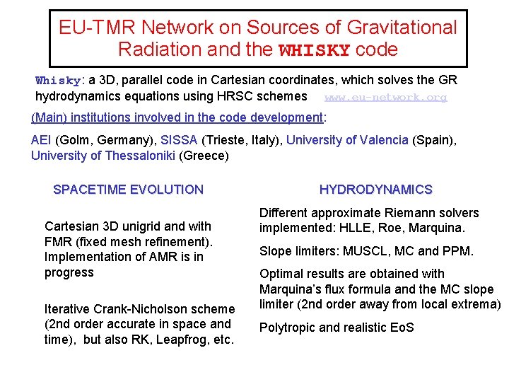 EU-TMR Network on Sources of Gravitational Radiation and the WHISKY code Whisky: a 3