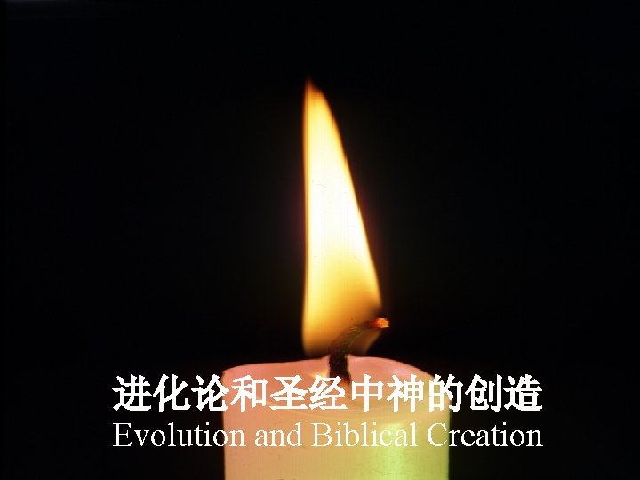 进化论和圣经中神的创造 Evolution and Biblical Creation 