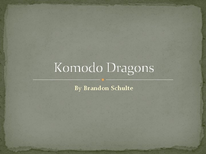 Komodo Dragons By Brandon Schulte 