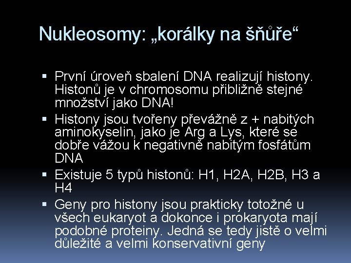 Nukleosomy: „korálky na šňůře“ První úroveň sbalení DNA realizují histony. Histonů je v chromosomu