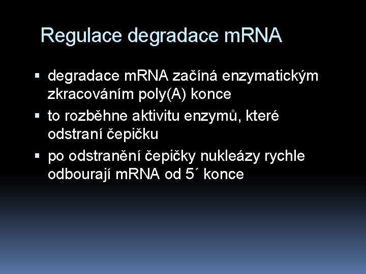 Regulace degradace m. RNA začíná enzymatickým zkracováním poly(A) konce to rozběhne aktivitu enzymů, které