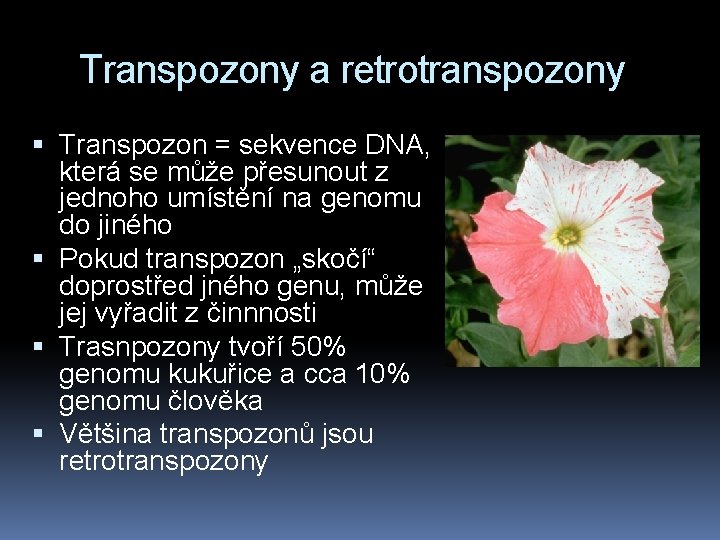 Transpozony a retrotranspozony Transpozon = sekvence DNA, která se může přesunout z jednoho umístění