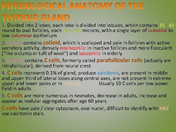 1. Divided into 2 lobes, each lobe is divided into lobules, which contains 20
