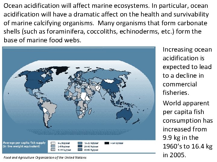 Ocean acidification will affect marine ecosystems. In particular, ocean acidification will have a dramatic