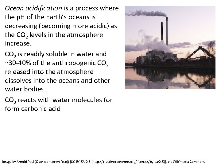 Ocean acidification is a process where the p. H of the Earth’s oceans is