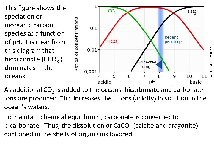 As additional CO 2 is added to the oceans, bicarbonate and carbonate ions are