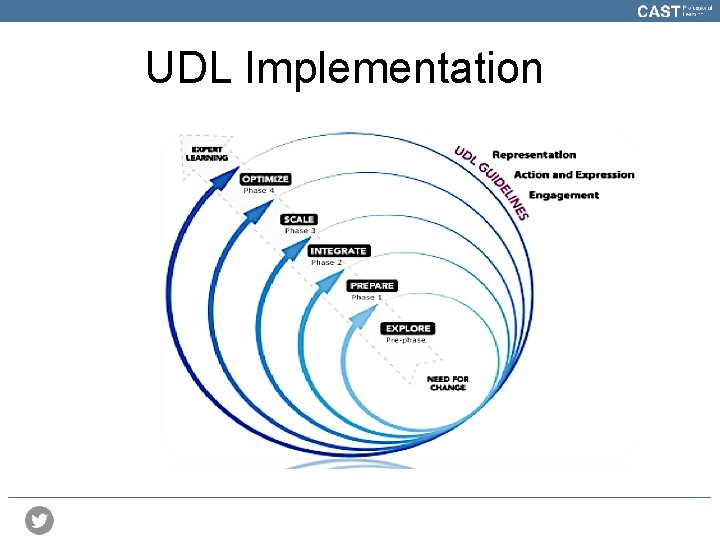UDL Implementation 