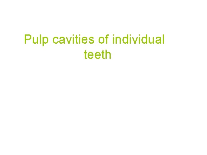 Pulp cavities of individual teeth 