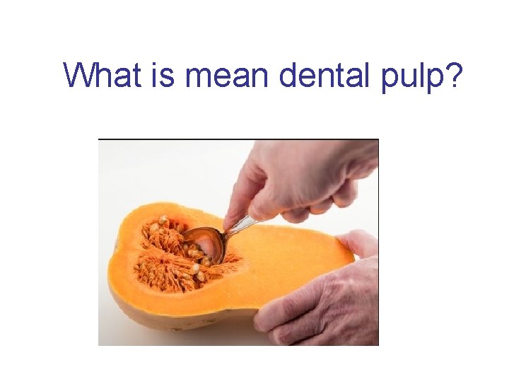 What is mean dental pulp? 