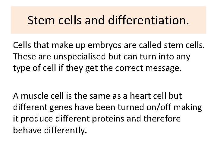Stem cells and differentiation. Cells that make up embryos are called stem cells. These Stem cells and differentiation. Cells that make up embryos are called stem cells. These