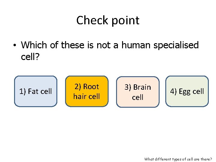 Check point • Which of these is not a human specialised cell? 1) Fat Check point • Which of these is not a human specialised cell? 1) Fat