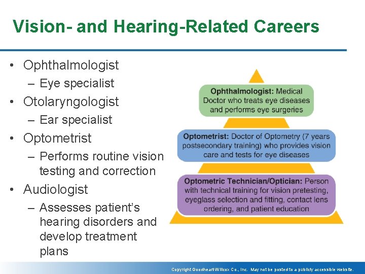 Vision- and Hearing-Related Careers • Ophthalmologist – Eye specialist • Otolaryngologist – Ear specialist