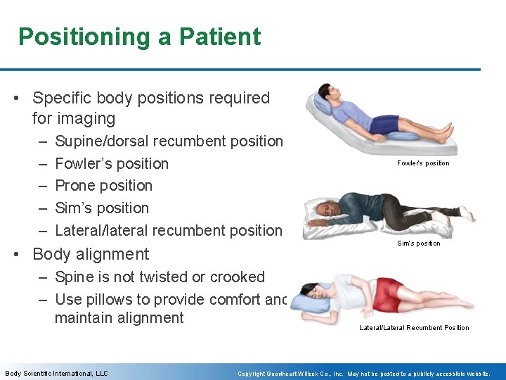Positioning a Patient • Specific body positions required for imaging – – – Supine/dorsal