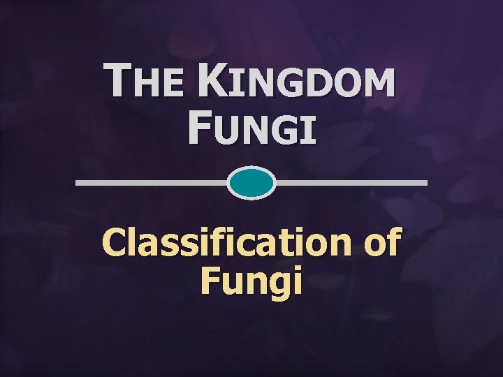THE KINGDOM FUNGI Classification of Fungi 