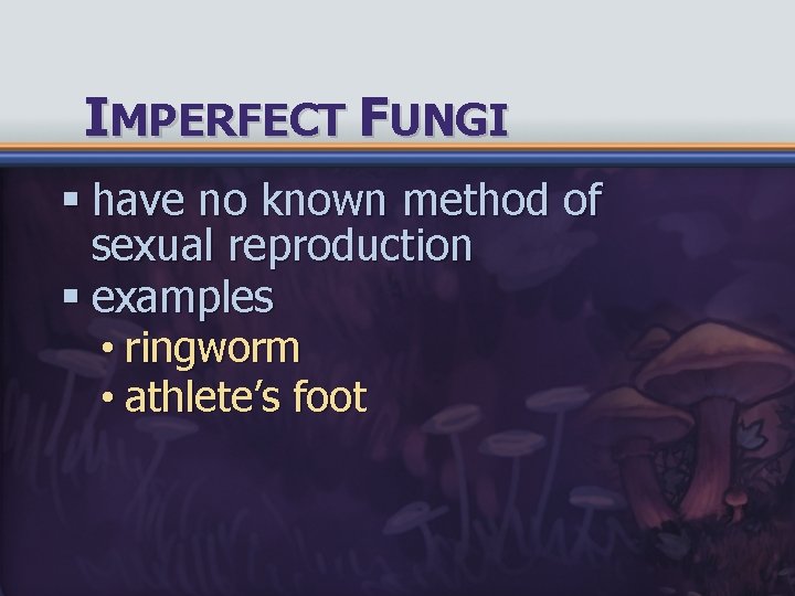 IMPERFECT FUNGI § have no known method of sexual reproduction § examples • ringworm