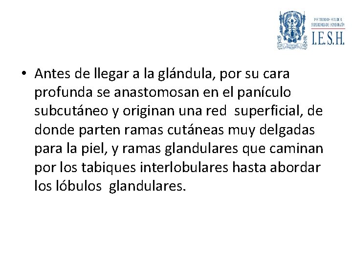  • Antes de llegar a la glándula, por su cara profunda se anastomosan