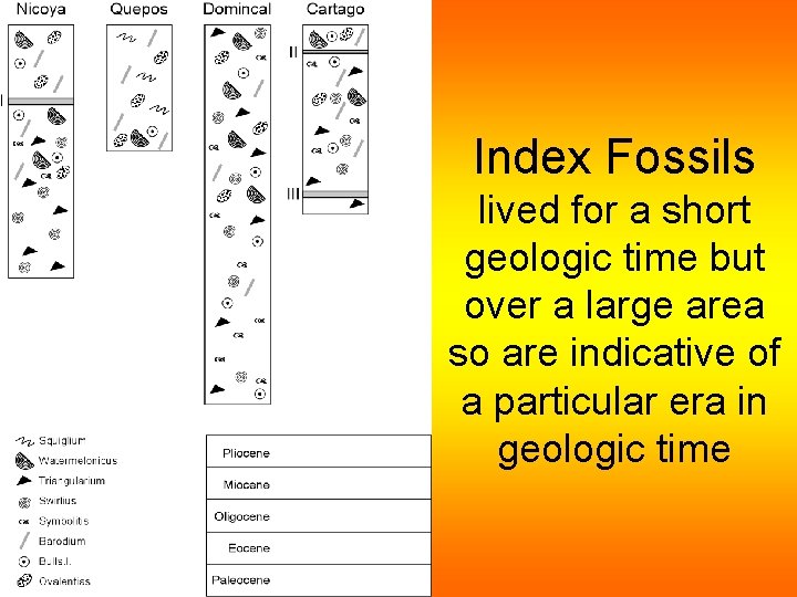 Index Fossils lived for a short geologic time but over a large area so Index Fossils lived for a short geologic time but over a large area so