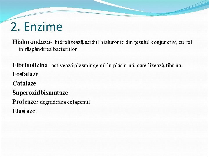 2. Enzime Hialurondaza- hidrolizeazặ acidul hialuronic din ţesutul conjunctiv, cu rol în răspândirea bacteriilor