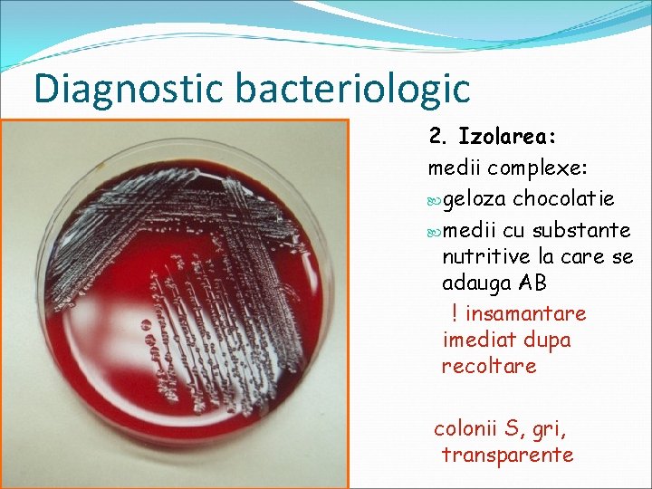 Diagnostic bacteriologic 2. Izolarea: medii complexe: geloza chocolatie medii cu substante nutritive la care