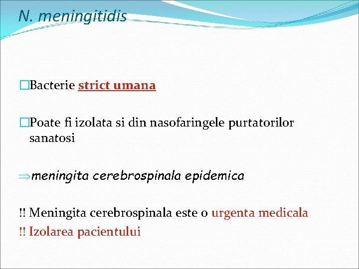 N. meningitidis �Bacterie strict umana �Poate fi izolata si din nasofaringele purtatorilor sanatosi Þmeningita