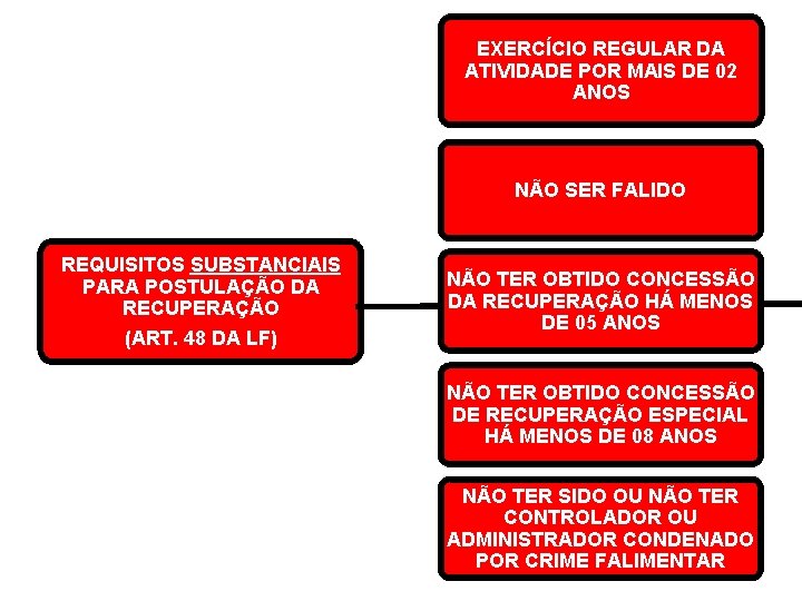 EXERCÍCIO REGULAR DA ATIVIDADE POR MAIS DE 02 ANOS NÃO SER FALIDO REQUISITOS SUBSTANCIAIS